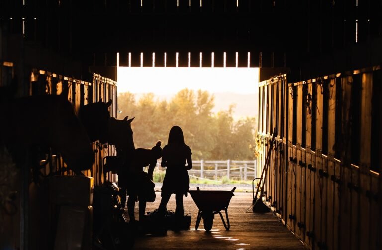 stable, girl, nature-4426781.jpg